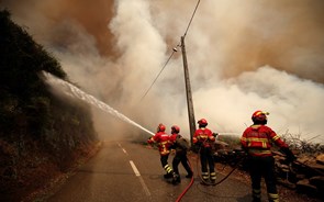 Domingo foi o pior dia do ano em incêndios - Protecção Civil