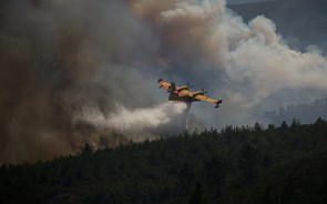 Incêndios: Portugal activa Mecanismo Europeu de Protecção Civil e protocolo com Marrocos