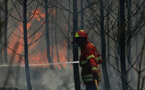 Seis principais fogos lavram em Santarém, Castelo Branco, Bragança e Vila Real
