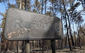 Figueiró dos Vinhos: Depois do fogo, reservas dos hotéis estão a ser 'canceladas em massa'