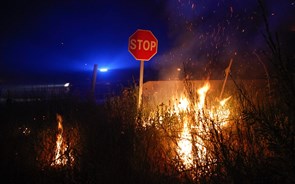 Incêndios: Estradas cortadas nos distritos de Santarém, Castelo Branco, Setúbal e Aveiro