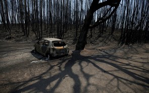 EDP limpou sinais do início do incêndio em Pedrógão Grande