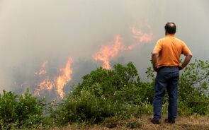 Civis 'fazem' de bombeiros para ajudar a prevenir reacendimentos em Pedrógão Grande