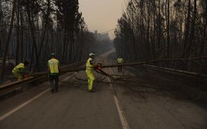Incêndio alastrou para a Sertã, entrando no distrito de Castelo Branco