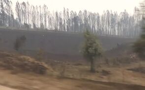 Reportagem em Pedrógão Grande: Do inferno nunca visto ao silêncio