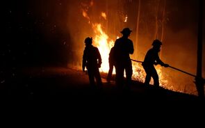 Site para seguir os incêndios em território nacional