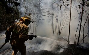 Chamas junto ao posto de comando de Góis