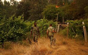 Incêndio em Góis com quatro frentes activas