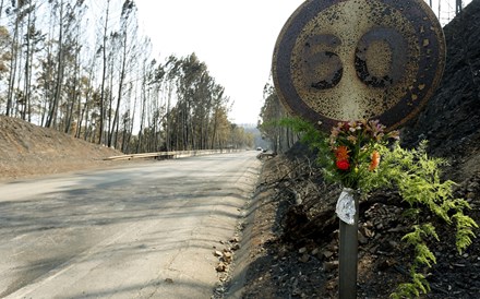 Incêndios: Só 74 mil euros em multas por negligência este ano