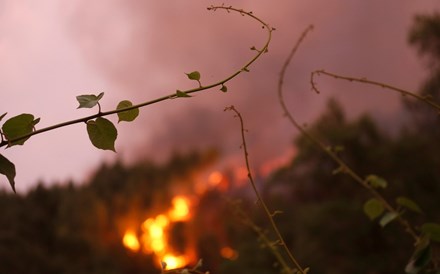 Fumo dos fogos em Portugal e anticiclone criam 'nuvem' que cobre Extremadura espanhola