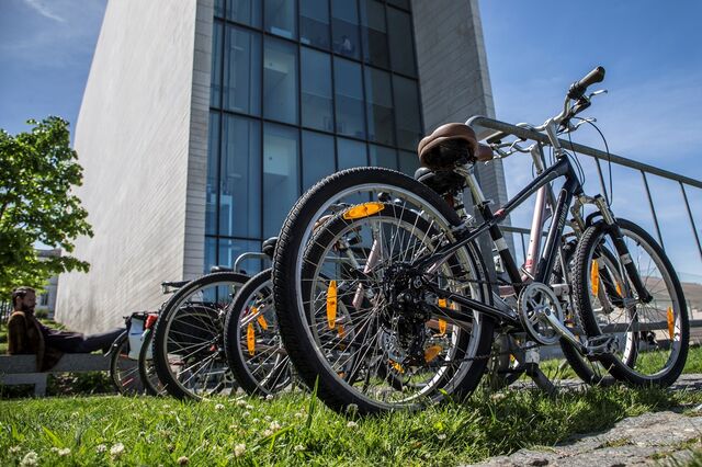 Bicicletas partilhadas de Lisboa arrancam amanhã