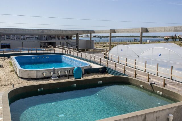 Marcelo inaugura maior centro europeu de reabilitação marinha aberto há um ano