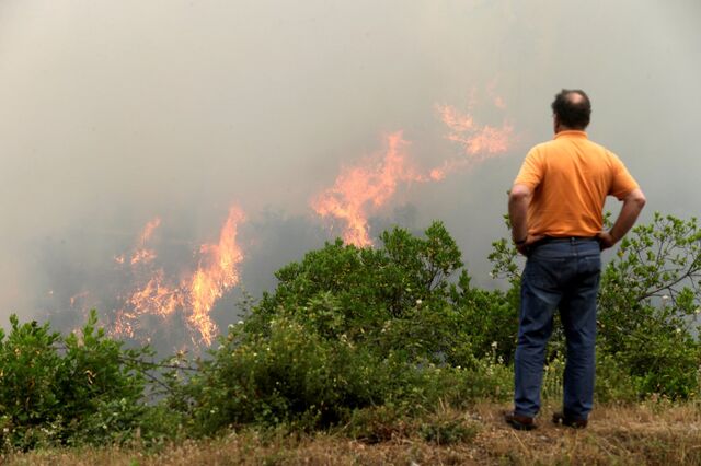 Tragédia de Pedrógão Grande faz soar alarmes em Itália e França