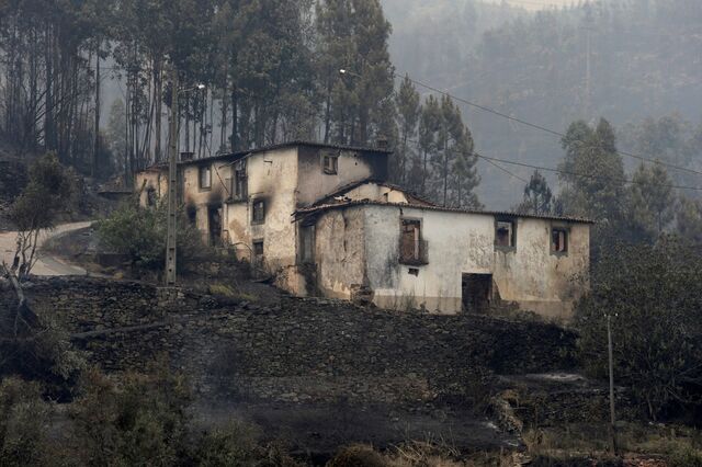 10 milhões a caminho de Pedrógão após classificação como 'catástrofe natural'