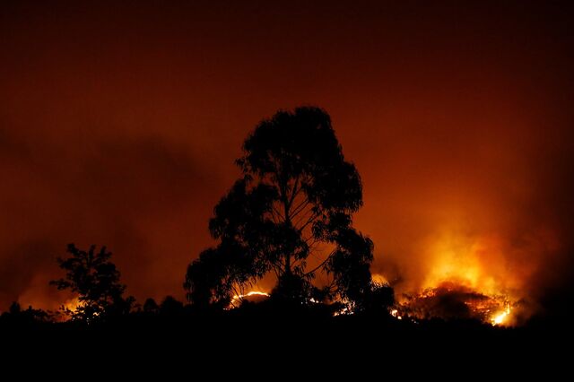 Incêndio de Pedrógão Grande destruiu fábricas e deixou mais de 200 no desemprego