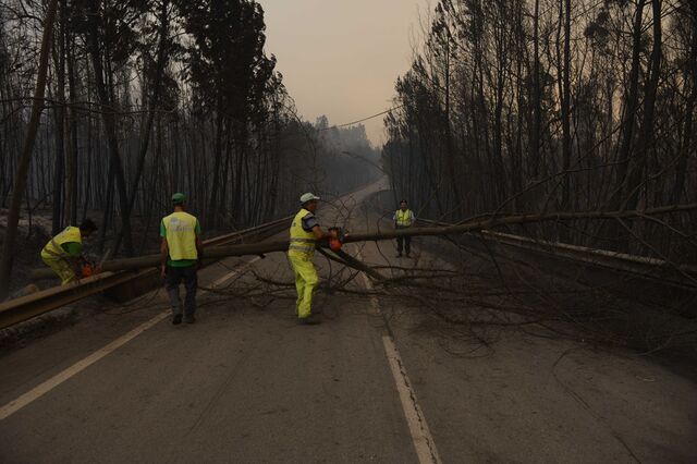 Incêndios: Quinze estradas cortadas com A1 fechada entre Albergaria e Mealhada
