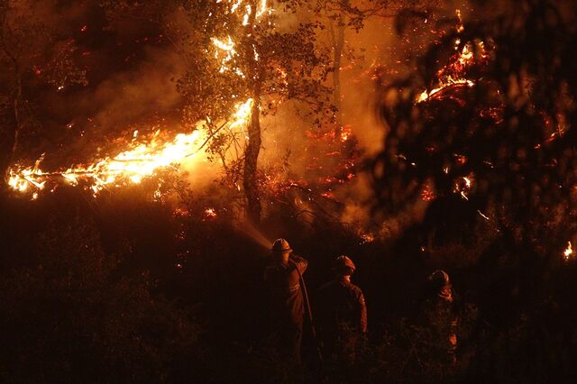Incêndios afectaram 40 empresas e 350 postos de trabalho