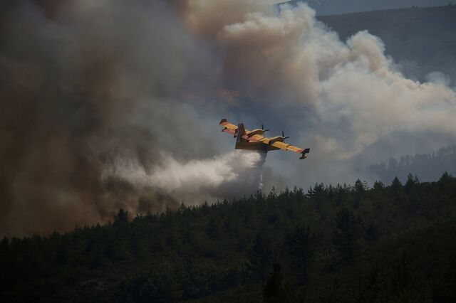 Incêndios: Portugal activa Mecanismo Europeu de Protecção Civil e protocolo com Marrocos