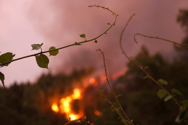A pé, de carro ou em casa: saiba o que fazer perante um incêndio 
