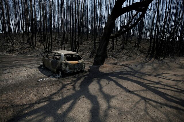 Há 25 milhões para apoiar empresas afectadas pelos incêndios