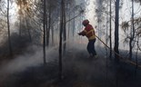 PSD quer que venda de madeira queimada deixe de pagar IRS