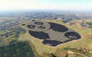 Panda gigante acolhe novo parque solar chinês