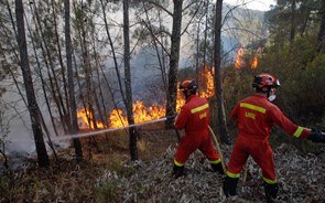 Grande fogo na Sertã, Proença-a-Nova e Mação dominado  
