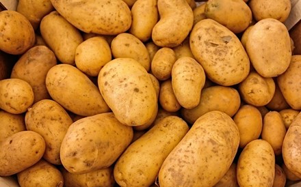 Agricultores pedem ao Governo que compre batatas para ajudar vítimas de incêndios