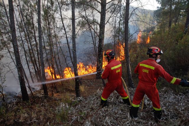Governo negoceia helicópteros para incêndios com acusados de 'cartelização'