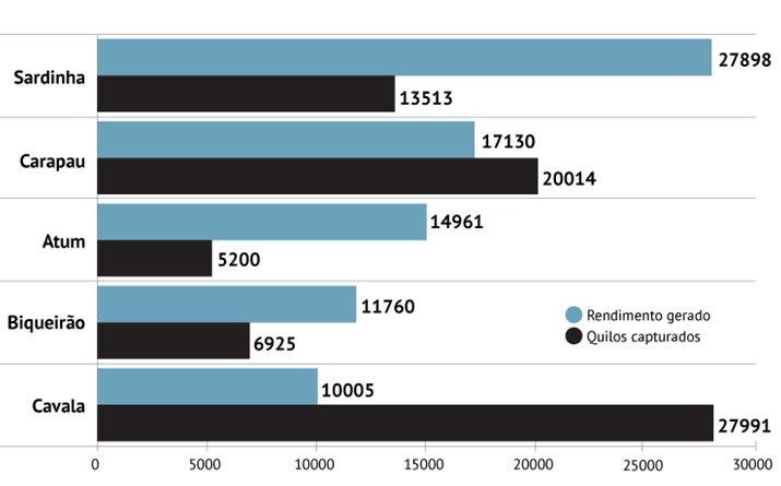 Sardinha é o peixe que gera mais dinheiro