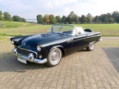 1955 FORD THUNDERBIRD - Estimativa entre 45.000 e 50.000 euros