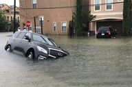 harvey
