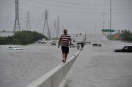 harvey