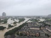 harvey