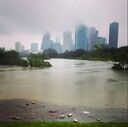 harvey