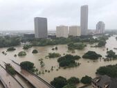 harvey