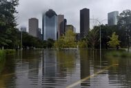 harvey