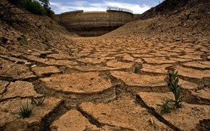 Centrais eléctricas a carvão e gás em máximos de 11 anos