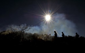 Advogados vão ter acesso a cadernetas prediais de terrenos vizinhos aos dos seus clientes 