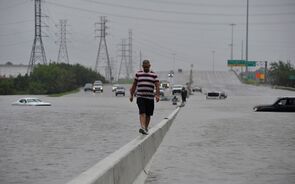 harvey