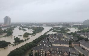 harvey