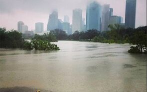 harvey