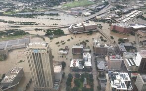 harvey
