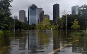 harvey