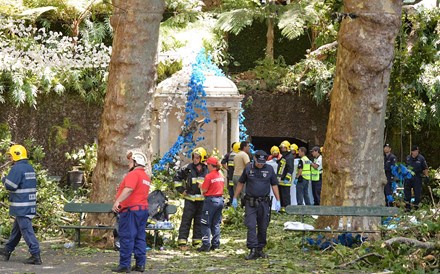 13 mortos e 49 feridos provocados pela queda de árvore na Madeira. PGR abriu inquérito