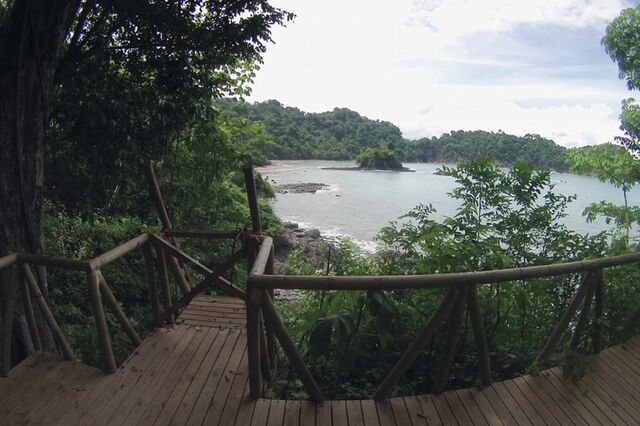 Manuel Antonio (Costa Rica): Onde o verde invade o Pacífico