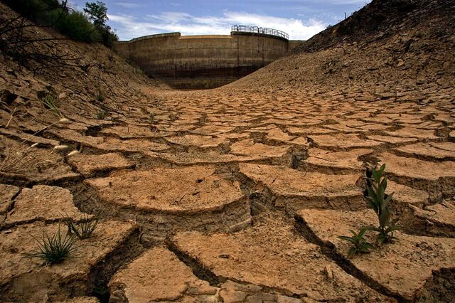 Centrais eléctricas a carvão e gás em máximos de 11 anos