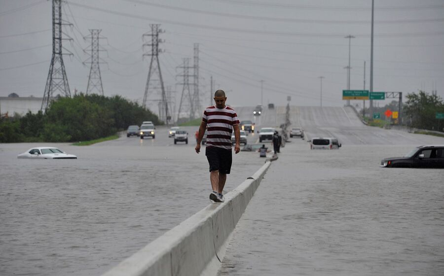 harvey