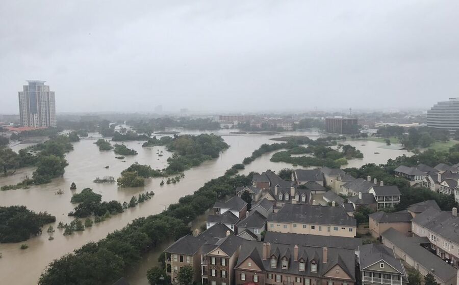harvey
