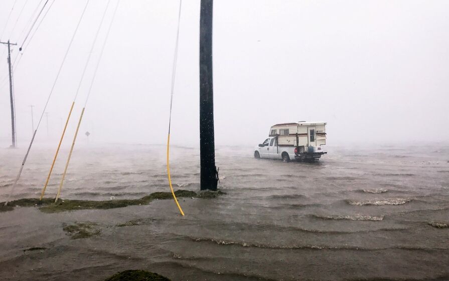 harvey